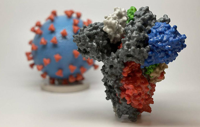 Comunicado de la Sociedad Chilena de Infectología con respecto a las variantes SARS‑CoV‑2