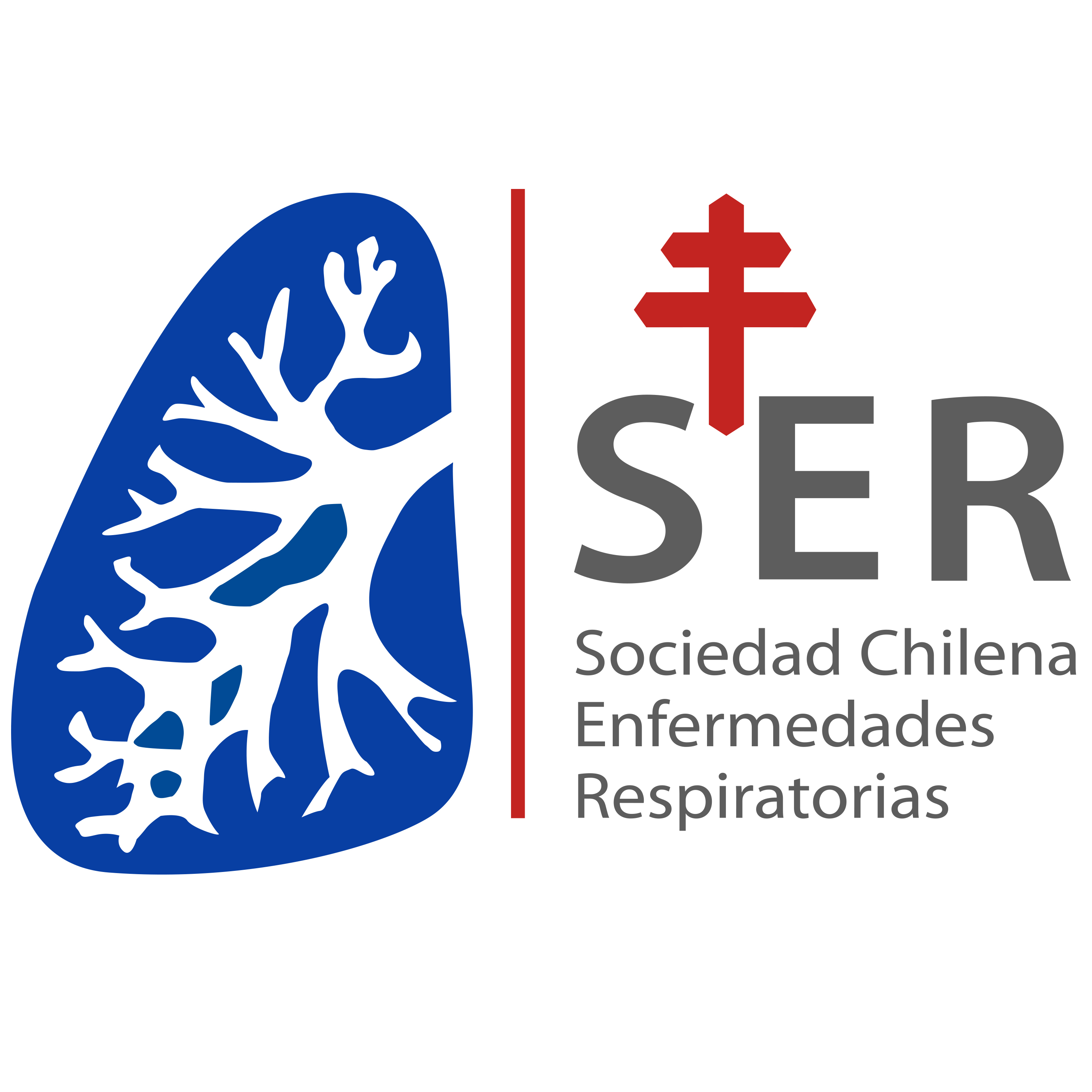 ser
