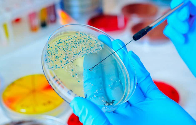 «Curso Formativo Bianual en Enfermedades Infecciosas y Microbiología Clínica»