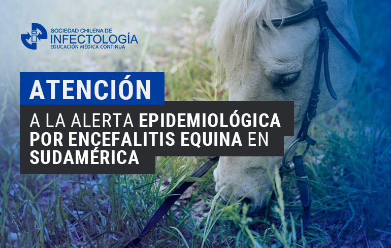 Alerta epidemiológica por Encefalitis Equina