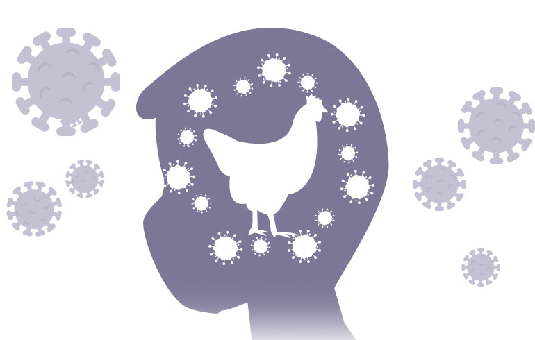 Influenza aviar en humanos