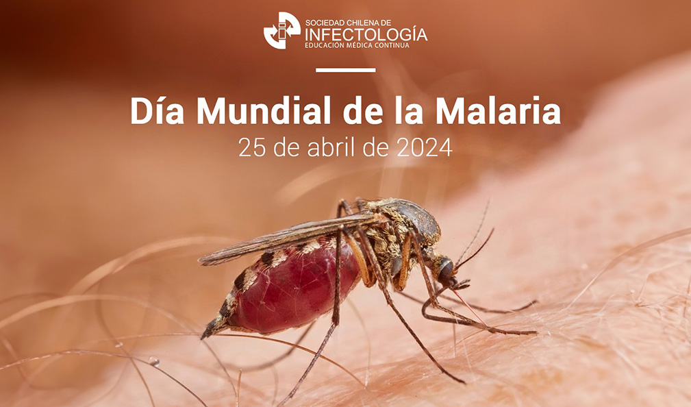 Día Mundial de la Malaria: Un Vistazo a Nuestra Historia y Futuro