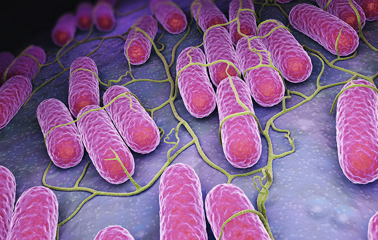 Consideraciones en relación con brotes de Salmonelosis