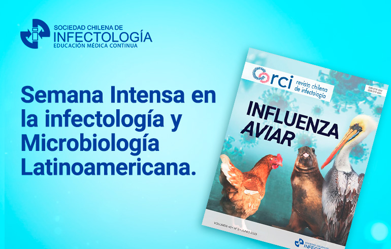 Sintesis Informativa SOCHINF