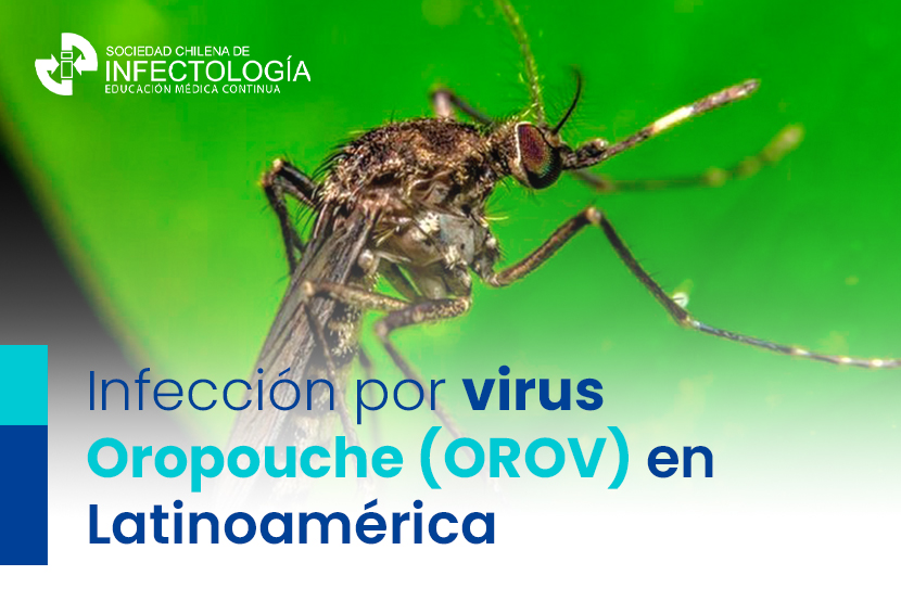 Infección por virus Oropouche (OROV) en Latinoamérica