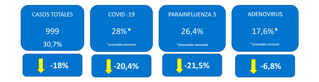 Informativo Virus Respiratorios. Semana 43 (3 nov 2023)