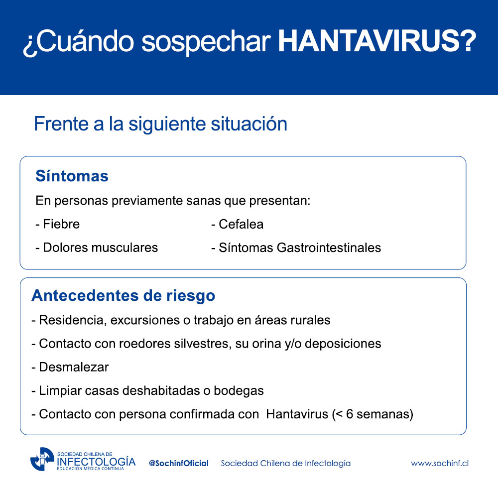 HANTA VIRUS, ¿Qué hacer en atención primaria de salud?