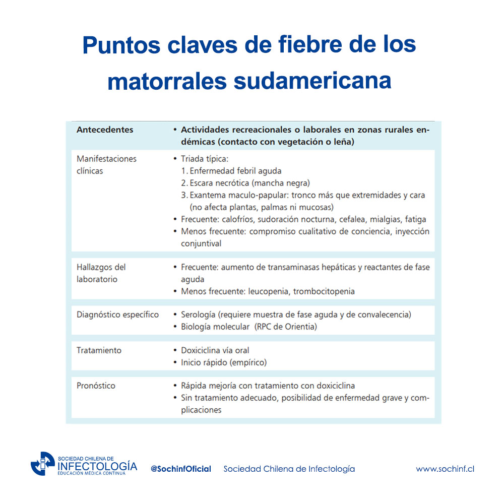 Tifus de los matorrales, una enfermedad emergente en Chile