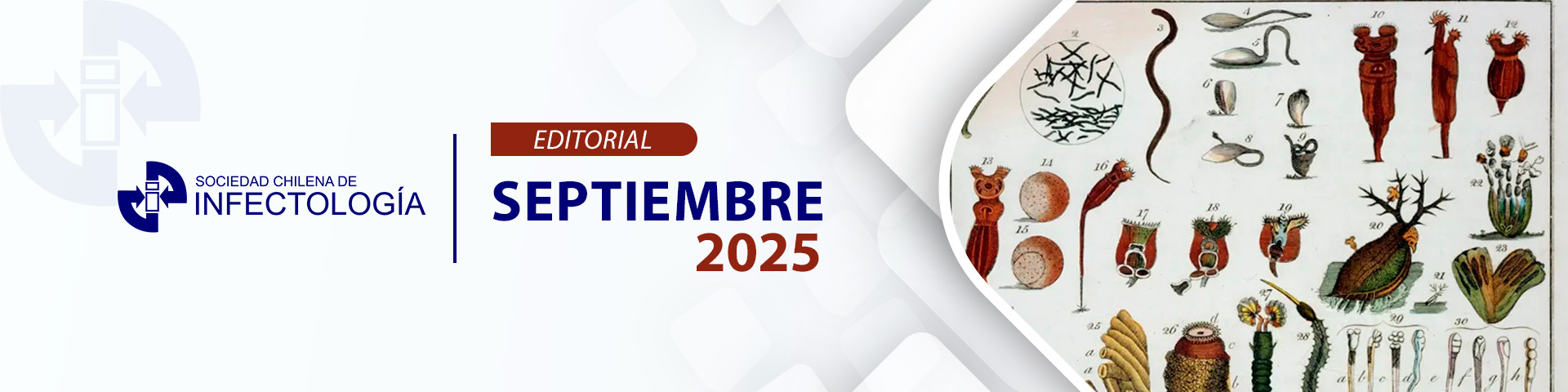 Editorial - Septiembre 2025