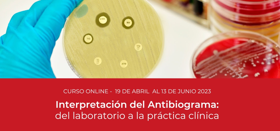Curso Antibiograma