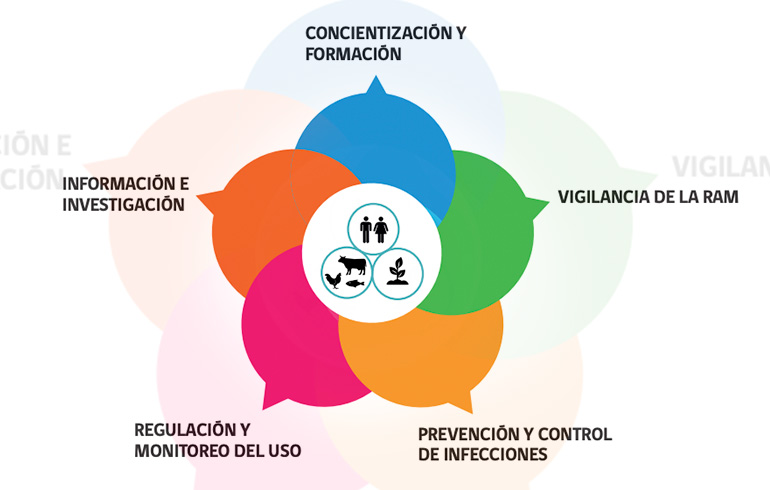 Antecedentes del Plan Nacional contra la Resistencia a los Antimicrobianos Chile 2021-2025