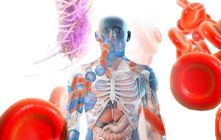 Día Mundial de la Sepsis. 13 de septiembre