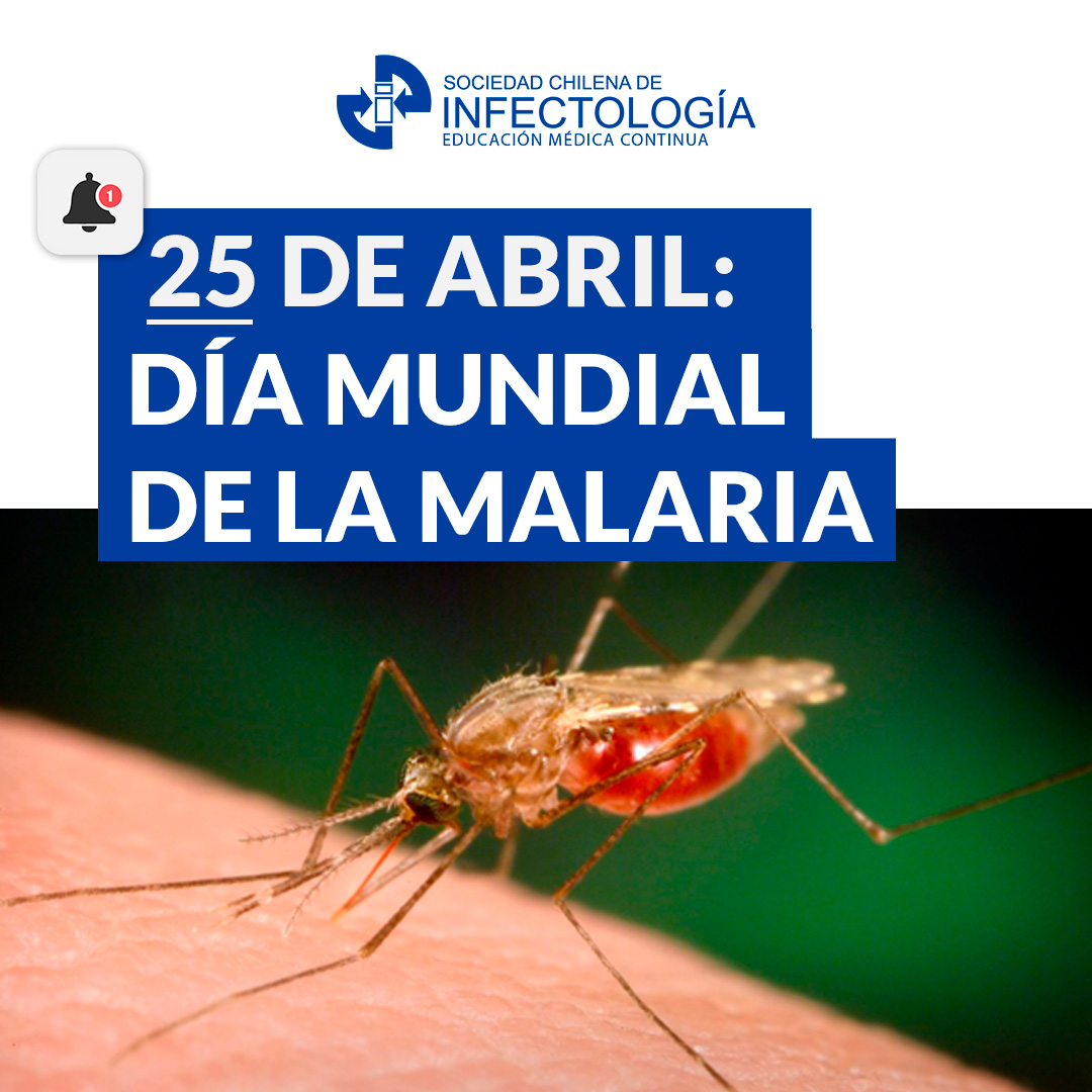 25 de abril: Día Mundial de la Malaria
