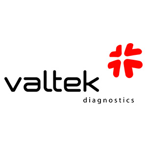 valtek