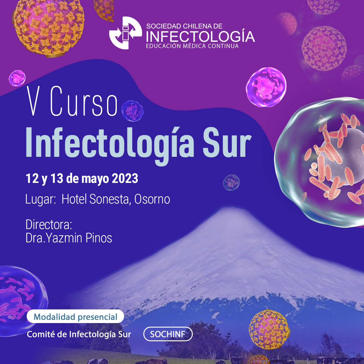 V Curso Infectología Sur