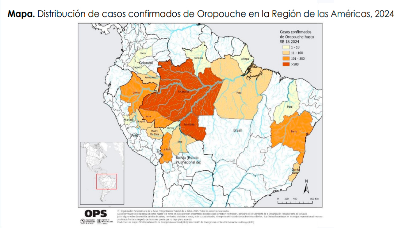 Infección por virus Oropouche (OROV) en Latinoamérica