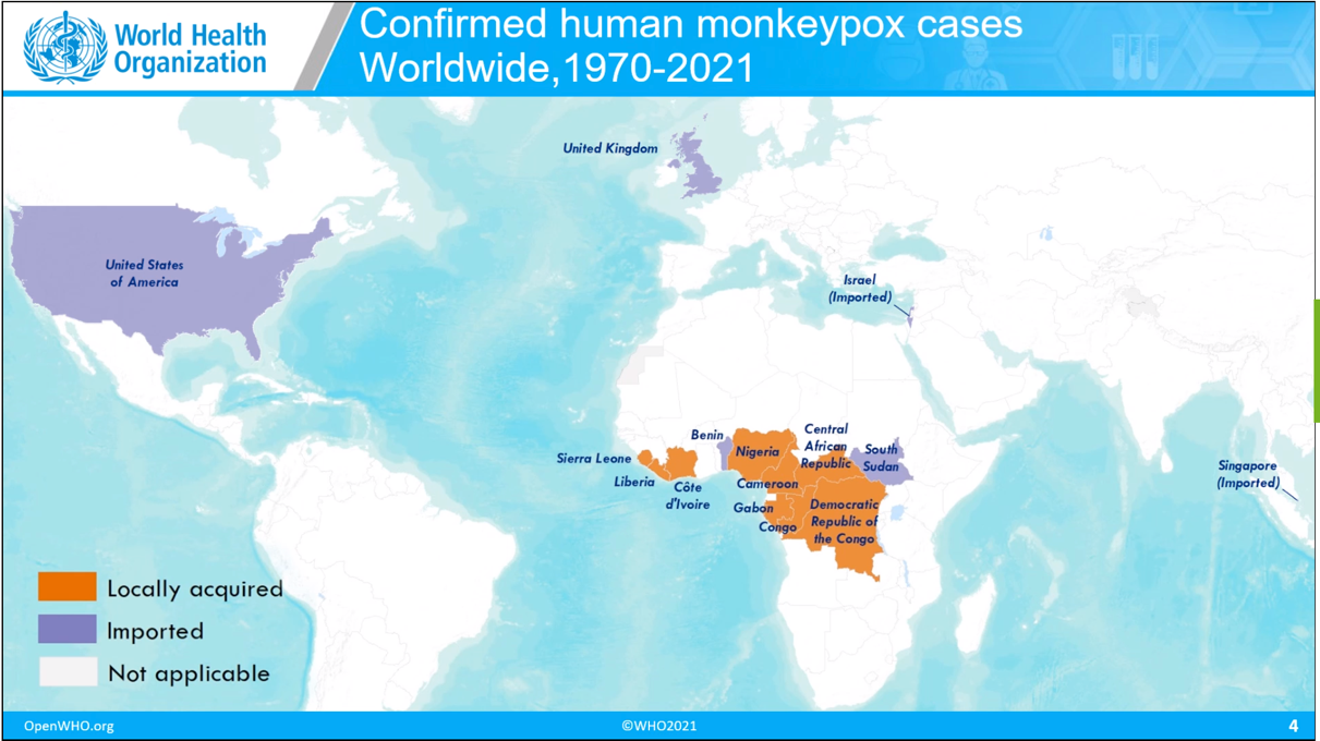 Casos de viruela del mono en Europa y Norteamérica